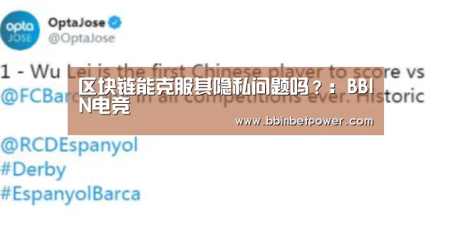 区块链能克服其隐私问题吗?:BBIN电竞(图2) 区块链能克服其隐私问题吗?:BBIN电竞(图2)
