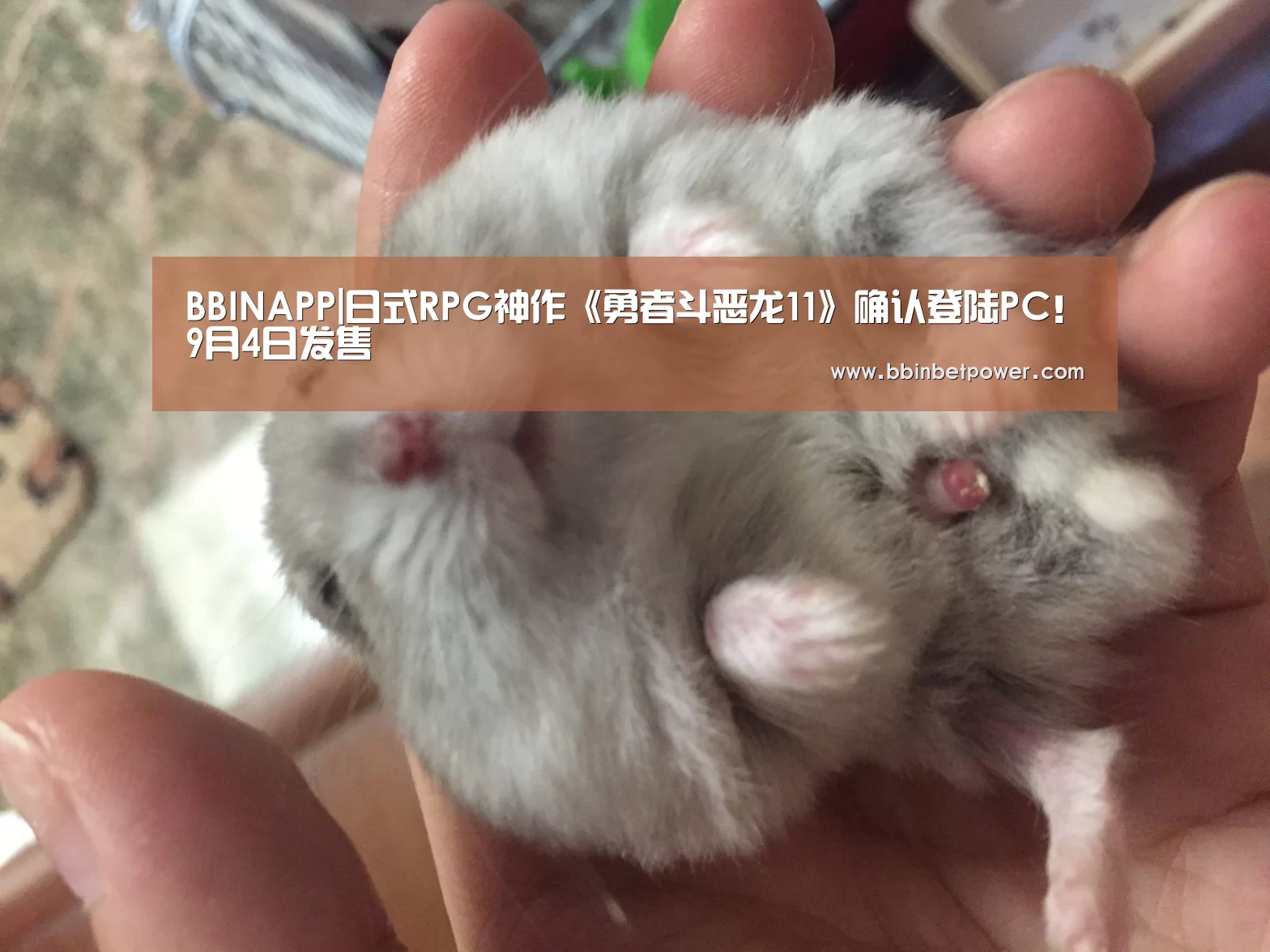 BBINAPP|日式RPG神作《勇者斗恶龙11》确认登陆PC！9月4日发售(图1)