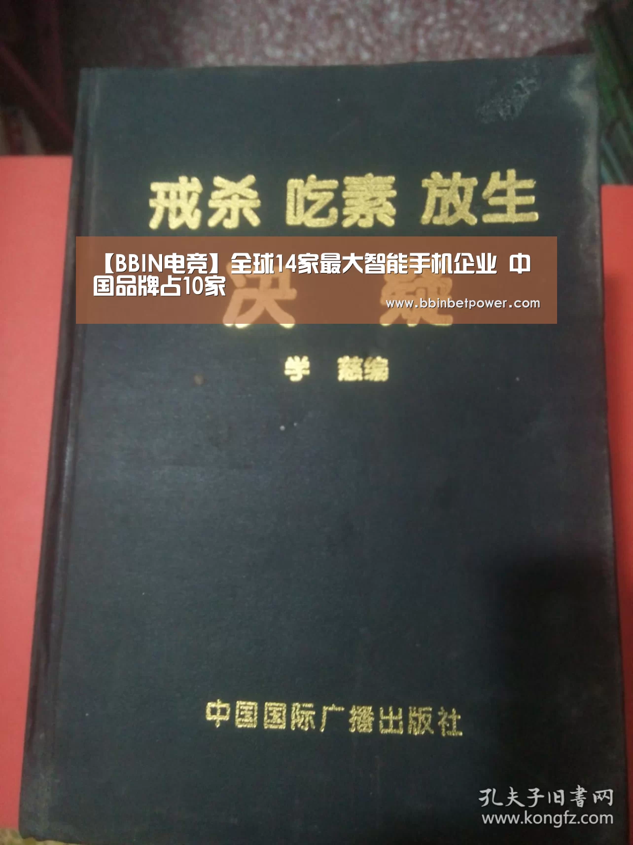 BBIN国际厅