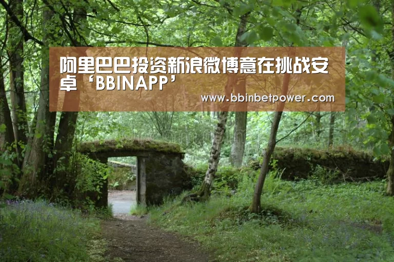 阿里巴巴投资新浪微博意在挑战安卓‘BBINAPP’(图4) 阿里巴巴投资新浪微博意在挑战安卓‘BBINAPP’(图4)
